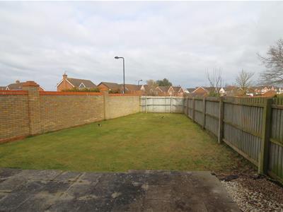 Picture 20
